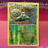 Pokemon Card Cacnea Breakthrough Reverse Holo 4/162 Near Mint