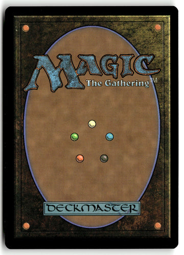 MTG South Pole Voyager Avatar: The Last Airbender LP Magic The Gathering (back)