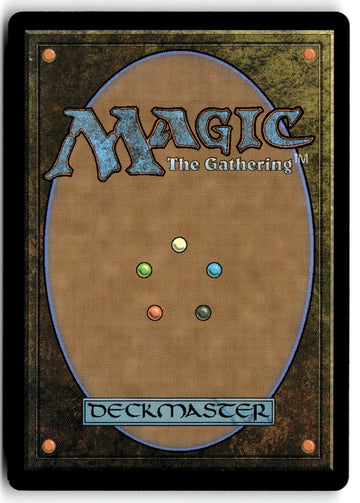 MTG Whirlwing Stormbrood (Showcase) Tarkir: Dragonstorm LP Magic The Gathering (back)