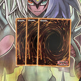DOCS-EN012 x3 D/D Necro Slime Common Excellent Condition Yugioh