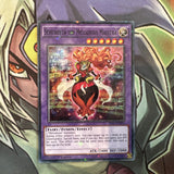 SP17-EN035 Schuberta The Melodious Maestra Starfoil 1st Edition NM Yugioh Card