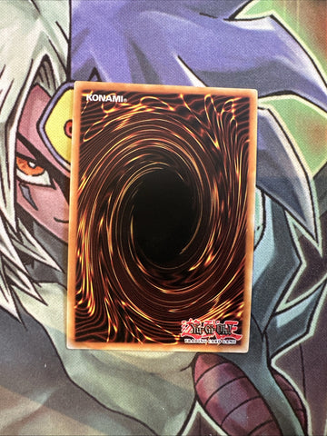 OP06-EN008 Paleozoic Hallucigenia Super Rare Unl Edition NM Yugioh Card (back)