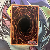 OP06-EN008 Paleozoic Hallucigenia Super Rare Unl Edition NM Yugioh Card