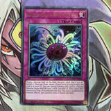 DUOV-EN098 Paleozoic Dinomischus Ultra Rare 1st Edition Near Mint Yugioh Card