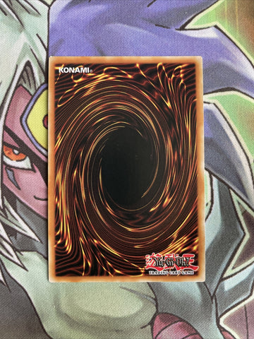 DUOV-EN098 Paleozoic Dinomischus Ultra Rare 1st Edition Near Mint Yugioh Card (back)