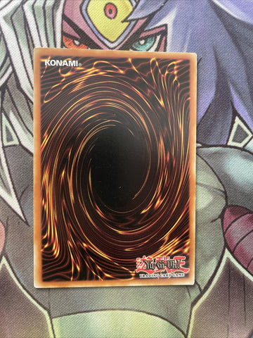 MP17-IT022 Ghost Reaper Winter Cherries Secret Rare ITALIAN NM Yugioh Card (back)