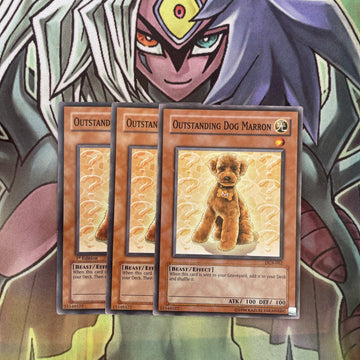 DCR-062 x3 Outstanding Dog Marron Common Excellent Condition Yugioh
