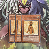 DCR-062 x3 Outstanding Dog Marron Common Excellent Condition Yugioh