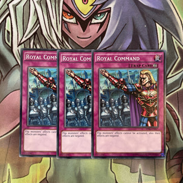 AP06-EN027 x3 Royal Command Common Excellent Condition Yugioh