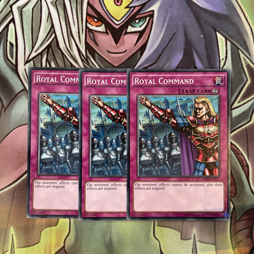 AP06-EN027 x3 Royal Command Common Excellent Condition Yugioh