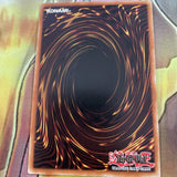 DPYG-IT016 Yugioh Dark Paladin Ultra Rare 1st Edition Light Play ITALIAN