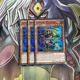 RATE-EN016 x3 Zoodiac Whiptail Super Rare Excellent Condition Yugioh