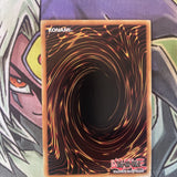 RA01-EN023 The Iris Swordsoul Platinum Secret Rare NM 1st Edition Yugioh Card
