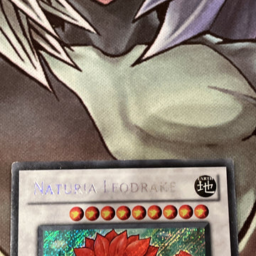 HA02-EN058 Naturia Leodrake Secret Rare 1st Edition Mint YuGiOh Card (back)