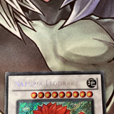 HA02-EN058 Naturia Leodrake Secret Rare 1st Edition Mint YuGiOh Card