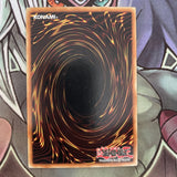 DR1-EN234 Terrorking Archfield Super Rare UNL Edition NM Yugioh
