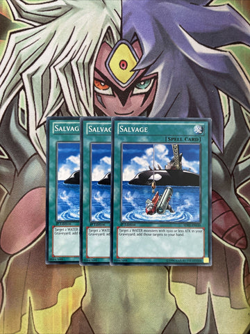 SDRE-EN030 x3 Salvage Common Excellent Condition Yugioh