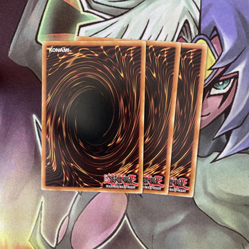 SDPD-EN027 x3 Foolish Burial Common Excellent Condition Yugioh (back)