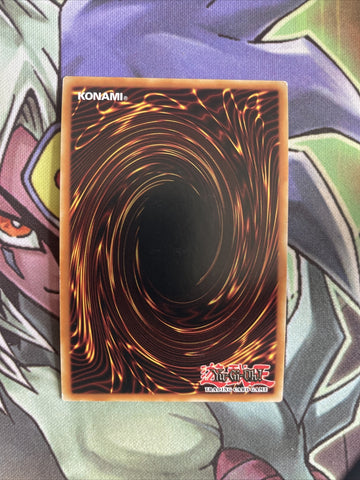 SR08-EN041 Dwimmered Path Super Rare 1st Edition NM Yugioh Card (back)