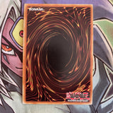 MP14-EN051 Madolche Nights Super Rare 1st Edition NM Yugioh Card