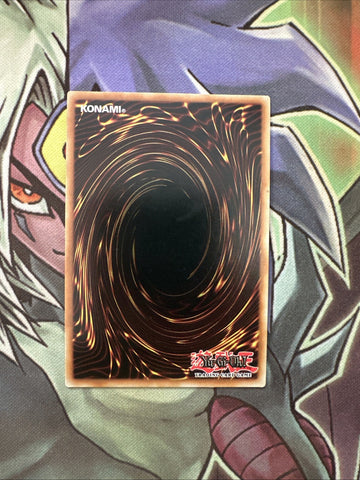 MAZE-EN028 Firewall Dragon Darkfluid - Neo Tempest Terahertz 1st Ed NM Yugioh (back)