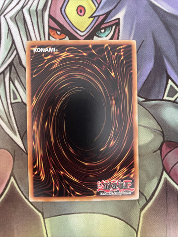 HA04-EN030 Naturia Landoise Secret Rare UNL Edition NM Yugioh (back)