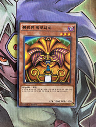 Smirking Gnome