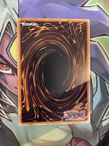 SDSA-EN017 The Fabled Cerburrel Common 1st Edition NM Yugioh Card (back)