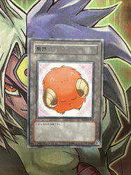 Smirking Gnome