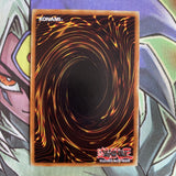 DT04-EN073 Fabled Dianaira Rare Duel Terminal 1st Edition NM Yugioh Card