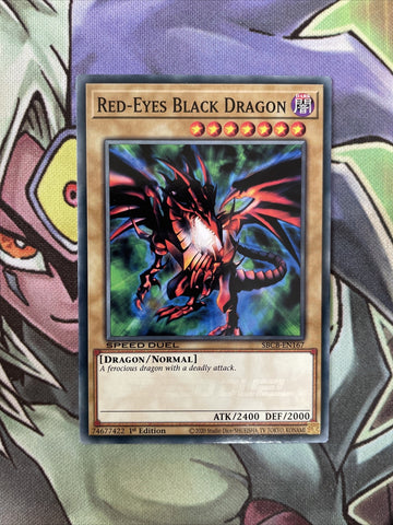 SBCB-EN167 Red-Eyes Black Dragon Common Speed Duel Common NM Yugioh Card