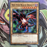 SBCB-EN167 Red-Eyes Black Dragon Common Speed Duel Common NM Yugioh Card