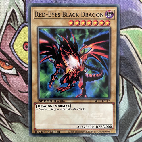 SBCB-EN167 Red-Eyes Black Dragon Common Speed Duel Common NM Yugioh Card