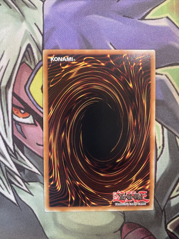RA01-EN033 Borreload Savage Dragon Collectors Rare NM 1st Edition Yugioh Card (back)