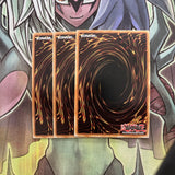 DUOV-EN081 x3 Daigusto Emeral Ultra Rare Excellent Condition Yugioh