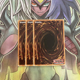JOTL-EN099 x3 Madolche Chickolates Common Excellent Condition Yugioh
