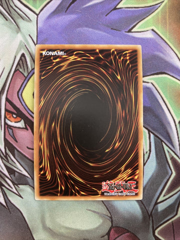 ROTD-EN077 Dragonmaid Tidying Super Rare 1st Edition NM Yugioh Card (back)