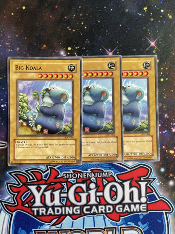 IOC-004 x3 Big Koala Common Playset Yugioh