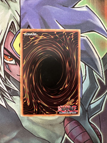 SDSE-EN035 Scrap Iron Scarecrow GERMAN Common 1st Edition NM Yugioh Card (back)