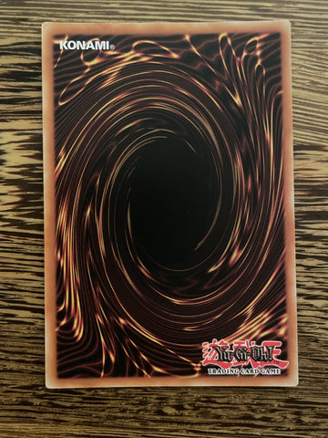 DUSA-EN013 Number 28 Titanic Moth - Ultra Rare - 1st Edition - Near Mint Yugioh (back)