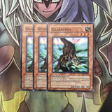 DB2-EN008 x3 Gilasaurus Common Excellent Condition Yugioh