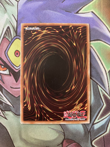 OP07-EN011 Paleozoic Dinomischus Super Rare UNL Edition NM Yugioh Card (back)
