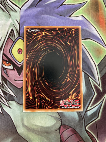OP08-EN021 Neo Space Common UNL Edition NM Yugioh Card (back)