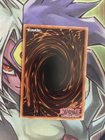 OP11-EN019 Moray Of Greed Common Unlimited Edition NM Yugioh Card (back)