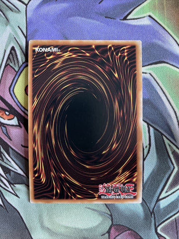OP14-EN004 Madolche Messengelato Super Rare UNL Edition NM Yugioh Card (back)