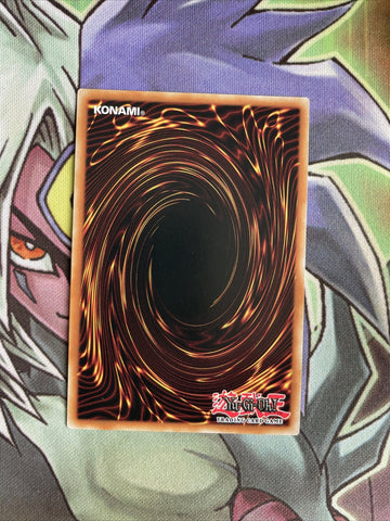 OP20-EN014 King Of The Swamp Common UNL Edition NM Yugioh Card (back)