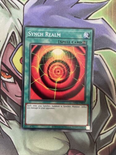 OP22-EN022 Synch Realm Common Unlimited Edition NM Yugioh Card