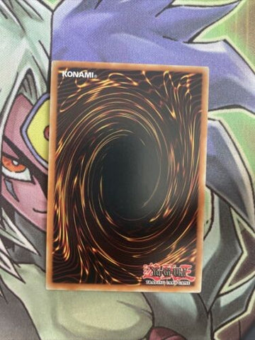 OP22-EN022 Synch Realm Common Unlimited Edition NM Yugioh Card (back)