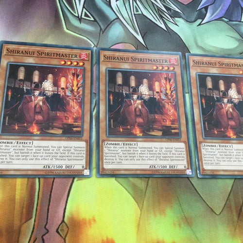 OP06-EN015 x3 SHIRANUI SPIRITMASTER Common Mint Condition Yugioh