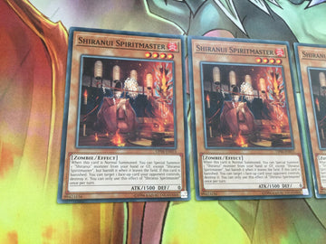 OP06-EN015 x3 SHIRANUI SPIRITMASTER Common Mint Condition Yugioh (back)